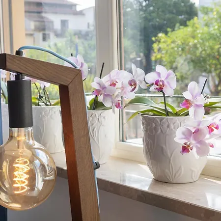 Casa Marino Penzion 4*